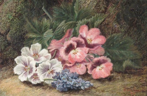 Oliver ClareFlowers on a mossy bank