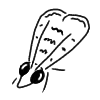 I Was In The Mood For Some Bug Doodles