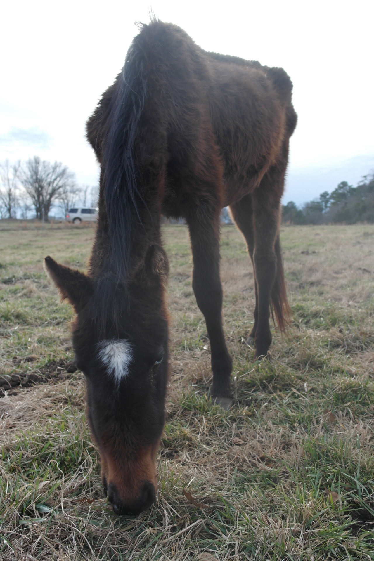 thatweirdhorsegirl:  thatweirdhorsegirl:  thatweirdhorsegirl:  PLEASE PLEASE PLEASE