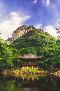 wnderlst:  Baegyangsa Temple, South Korea | Aaron Choi 