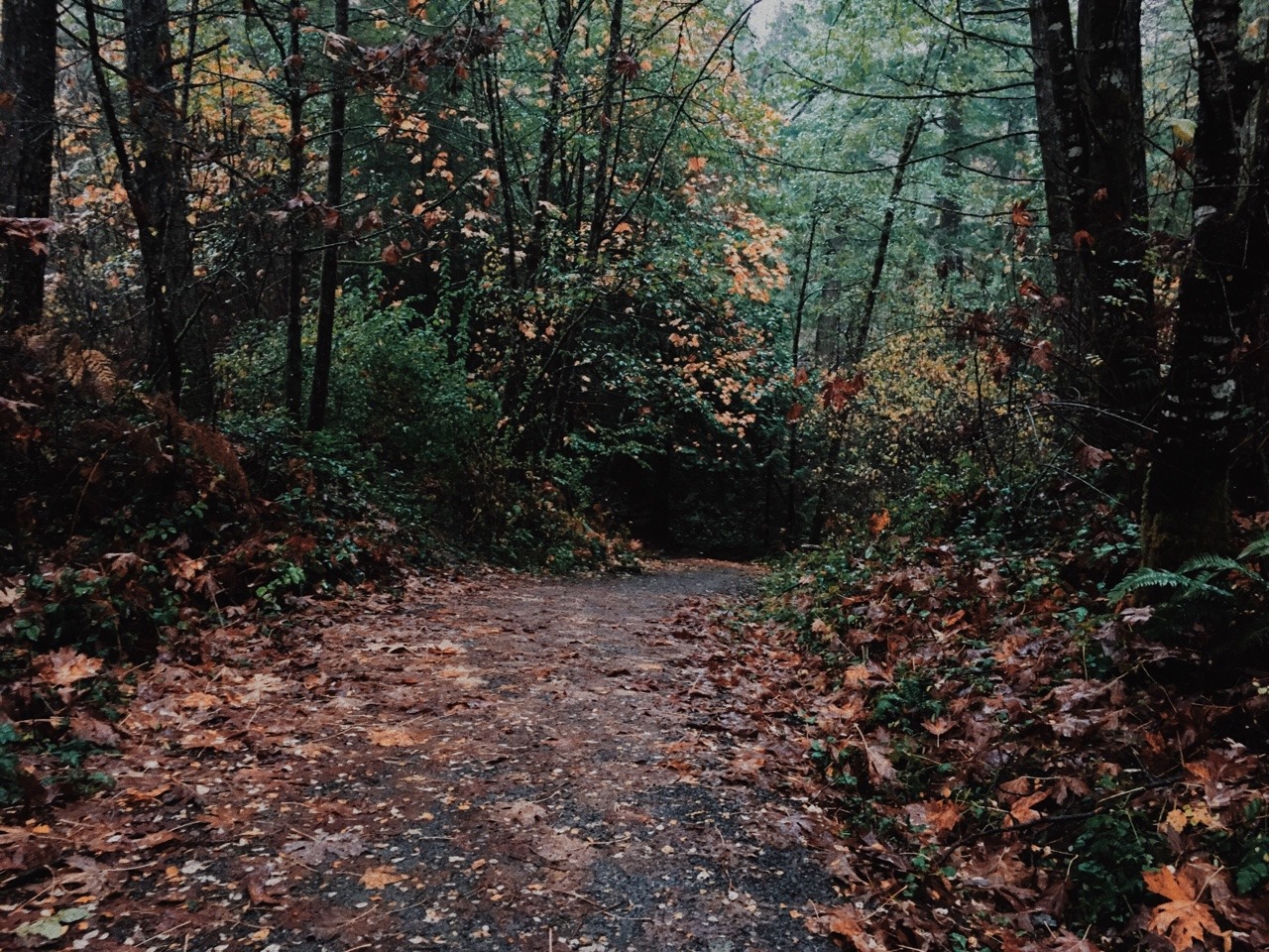 wildlxng:   rainy walk around the lake with my sister 🌧 