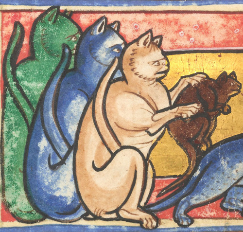 discardingimages: multicolored cats Worksop Bestiary, England c. 1185 NY, The Morgan Library &am