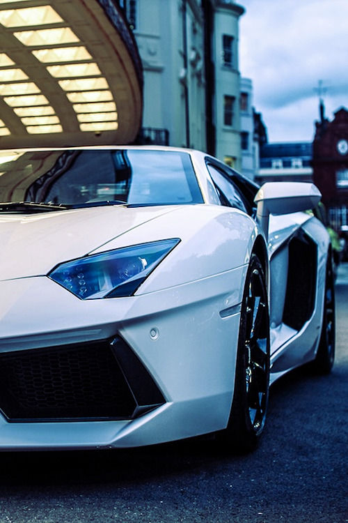billionaired:  Aventador [By: TS Multimedia] 