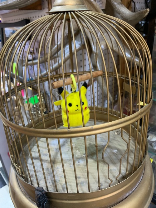 Free Him...
