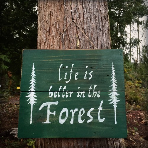 &ldquo;Life is better in the Forest&rdquo;https://www.etsy.com/listing/259345497/life-is-better-in-t