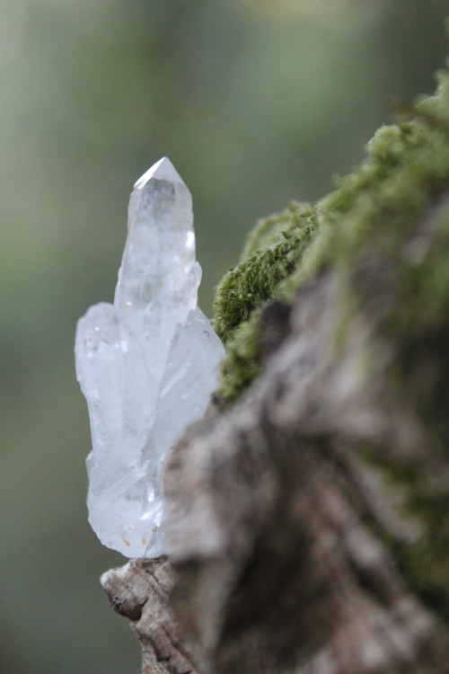 aponi-wiitch:  My Crystal Quartz 