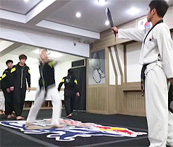 kellymagovern:  Taekwondo paddle kicking [x]