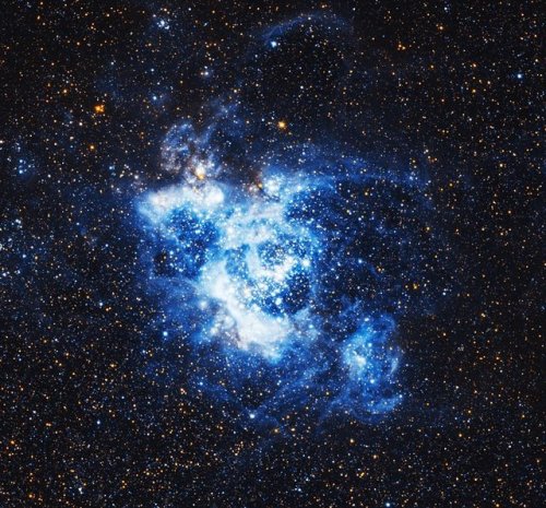 cosmicvastness:NGC 604 — a gigantic gas cloud in the Triangulum GalaxyThis image shows NGC 604, loca