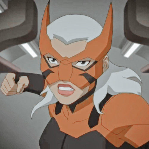 Young Justice