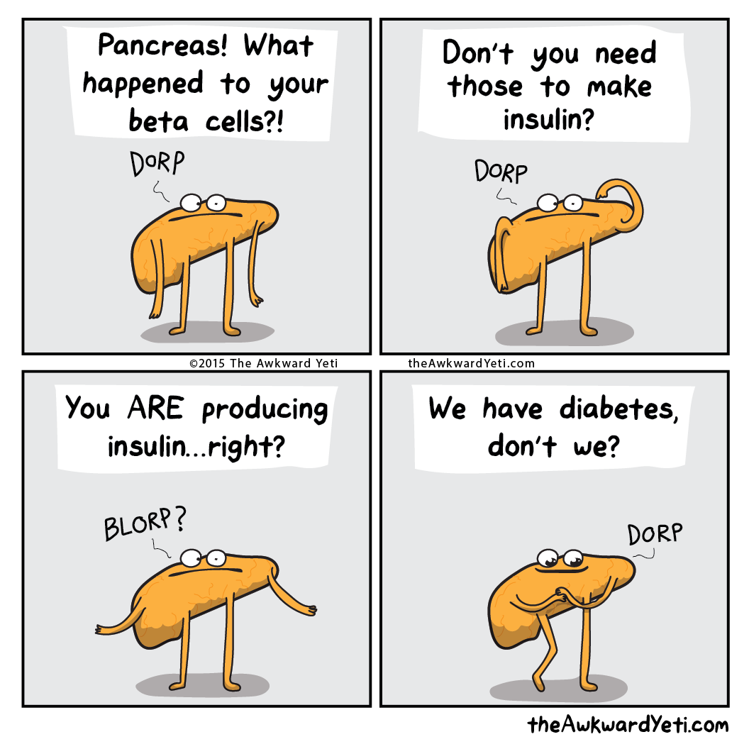 larstheyeti:  Dammit, Pancreas! Type 1 Diabetes occurs when the insulin-producing