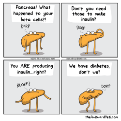 larstheyeti:  Dammit, Pancreas! Type 1 Diabetes