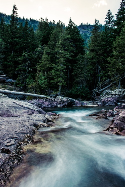 jeremylfisher: Last light // Glacier National Park Wilderness