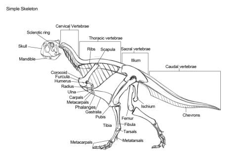 raulramosart: My sketches and designs for week 3 of the creature anatomy course I’m in. Week 3