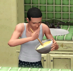 bifflz:  so my sim tried to make himself waffles and lets just say things escalated pretty fasti wish i could say this was the first time this has happened 