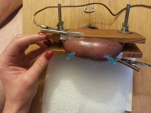 94painnbeauty: cbtbln: paulgilc: My balls in a stock, crushed, electrocuted, and needled–-simu