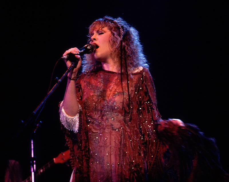 crystallineknowledge:  The Wild Heart Tour, Chicago, IL - July 18, 1983