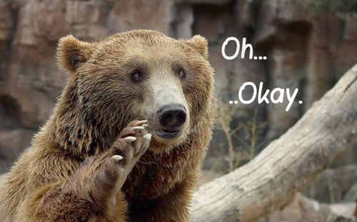 thecutestofthecute:  When you suddenly get tons of unfollowers out of nowhere 