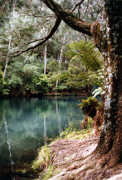 brutalgeneration:  The Blue Lake at Jenolan