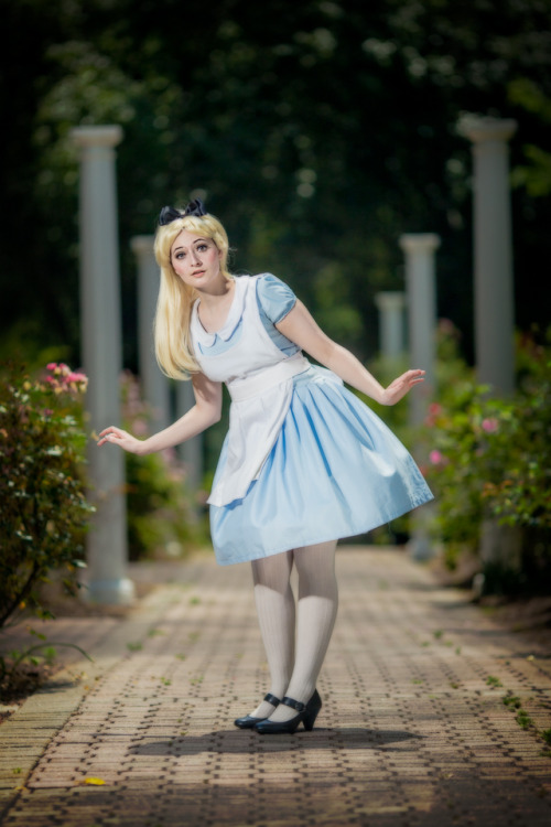 asylum-countess:New pictures up of my Alice in Wonderland cosplay! Check it out!{Please do not re-po