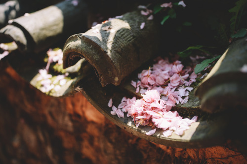 Seonam Temple  