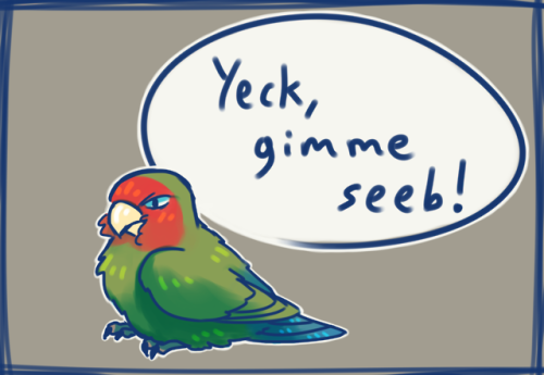 A quick doodle I made of a friend&rsquo;s peach-faced lovebird :P