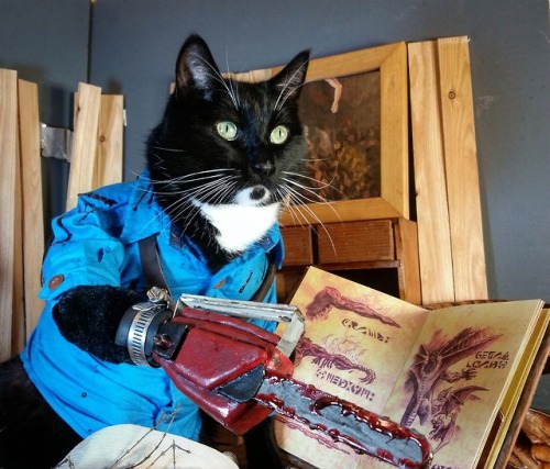 cat-cosplay:A cautionary reminder for Book Lovers Day. Not every book needs to be read out loud.