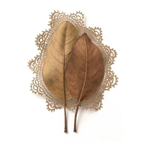 Crocheter Uses Her Skills To Turn Dried Leaves Into Works Of Art (30 Pics)