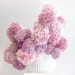 fleur-aesthetic:instagram | josephmassie 