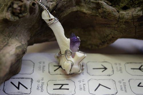  Coyote vertebra with amethyst point necklace, available in the store. This piece has some new wire 