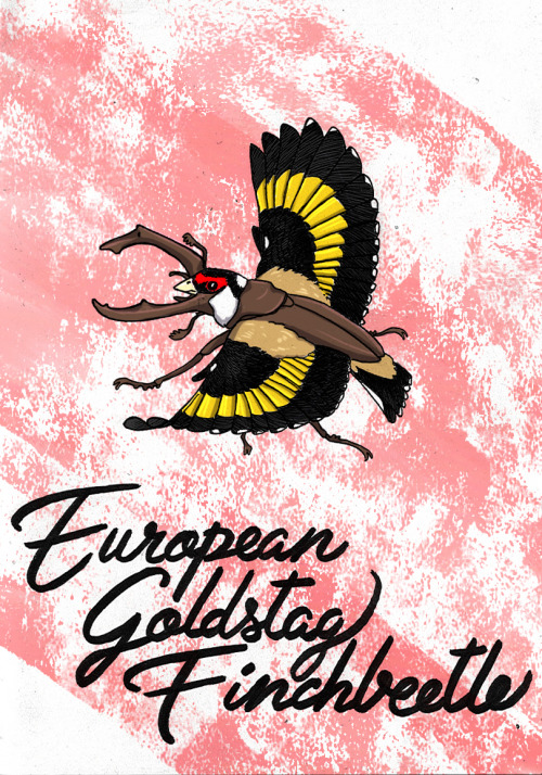 12_EUROPEAN GOLDSTAG FINCHBEETLE by NekoCitronToday I get : EUROPEAN GOLDFINCH x STAG BEETLEAnd here
