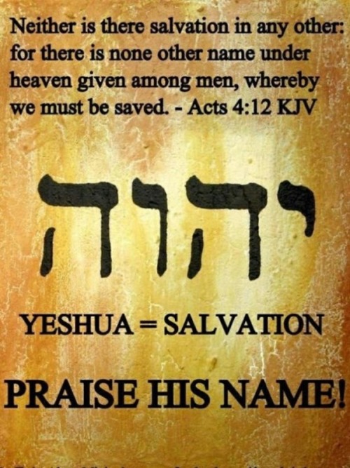 The Living Acts 4 12 Kjv Neither Is There Salvation In