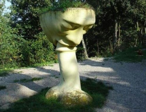 loopez: Bosc De Can Ginebreda, by Xicu Cabanyas.