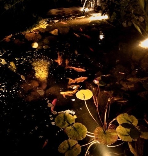 Landscape Pond Inspiration For The Stone Landscaping Of A Sizable Tropical Courtyard.