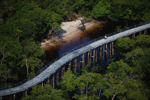 unrar:    Pedaling above the Rio Negro and rainforest northwest of Manaus, Brazil,