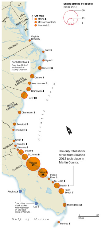 kateoplis:
“ The odds: 1 in 2,000,000 - drowning. 1 in 11,500,000 - being bitten by shark. 1 in 264,000,000 - dying from a shark bite.
Where sharks and swimmers meet
”
shark strikes by county on east coast from 2008 - 2013. good thing we live on the...