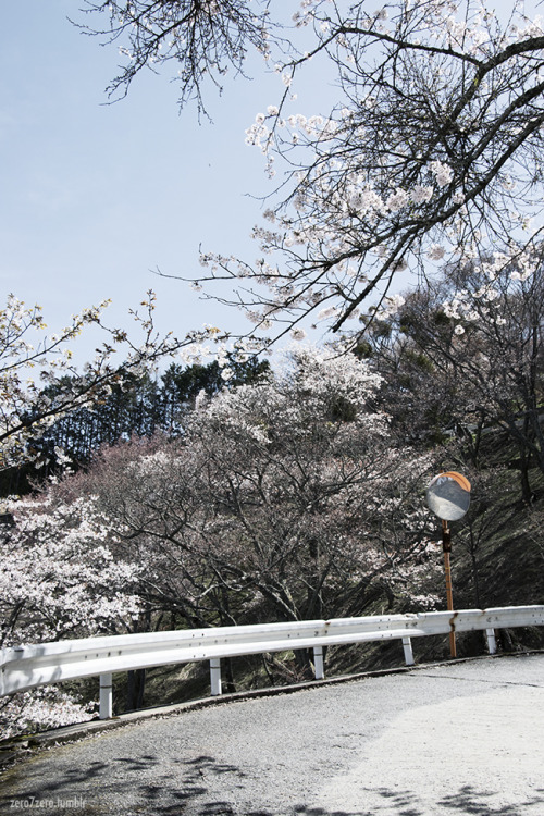 Yoshino, Japan