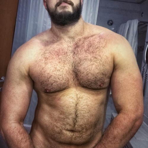 XXX Hairy Guys n Bears photo