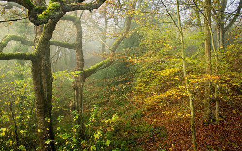 Lumsdale Mist by J C Mills Photography on Flickr.