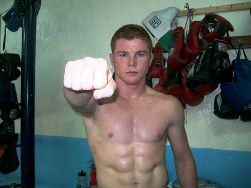 parkersjocks:  Saúl Álvarez | Light Middleweight porn pictures