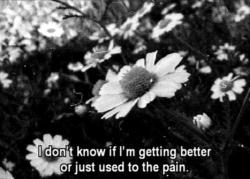 bottled-up-emotionss:  I am just used to it 