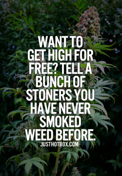 kushandwizdom:  Click here for more weed quotes