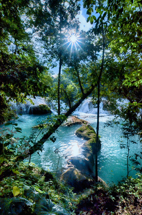 opticallyaroused:  Turquoise Waterfalls, Chiapas, Mexico