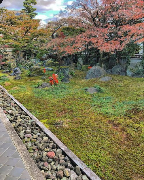 法輪寺（だるま寺）庭園 [ 京都市上京区 ] ② Horinji (Darumadera) Temple Garden, Kyoto ーー通称“達磨寺”に京都の老舗“庭司” #植音 の四代目 #奥田龍