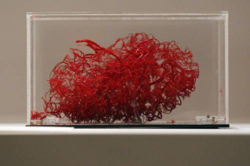 madleinad:(via A resin cast of all the blood vessels in a human brain)
