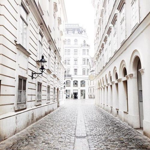 expatesque:Moodboards | Cities | V i e n n a, Austria ↳ “The streets of Vienna are paved with cultur