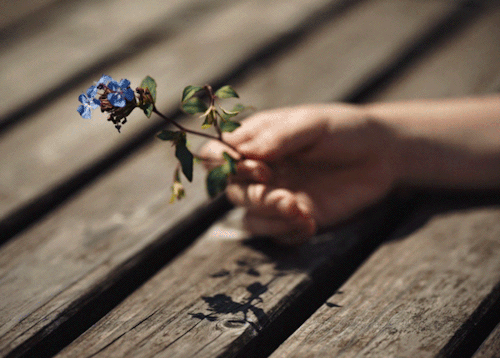 abduction:  via weheartit