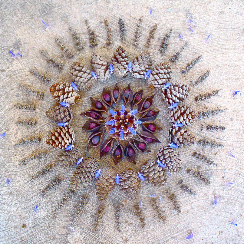 itscolossal:  New Flower Mandalas by Kathy Klein