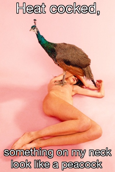 Ryan McGinley, “Peacock (Rose Quartz)” // Lil’ Wayne, “Hustlin”