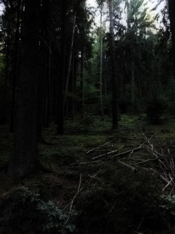 90377:  atttf by Cocowet 
