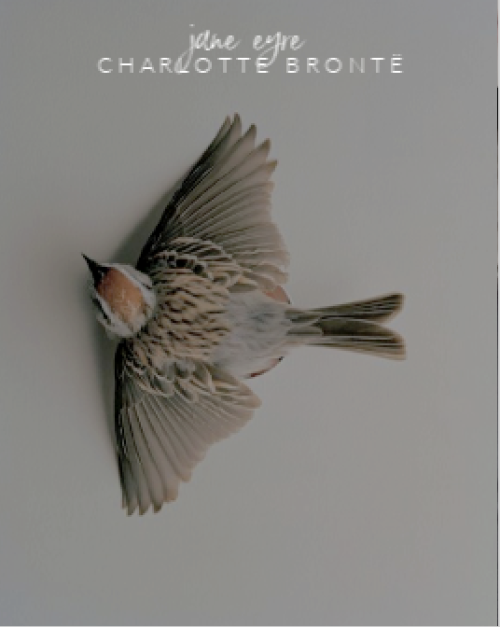 thebrightpreciousthings:books i read in 2019: “jane eyre” by charlotte brontëI am no bird; and no ne